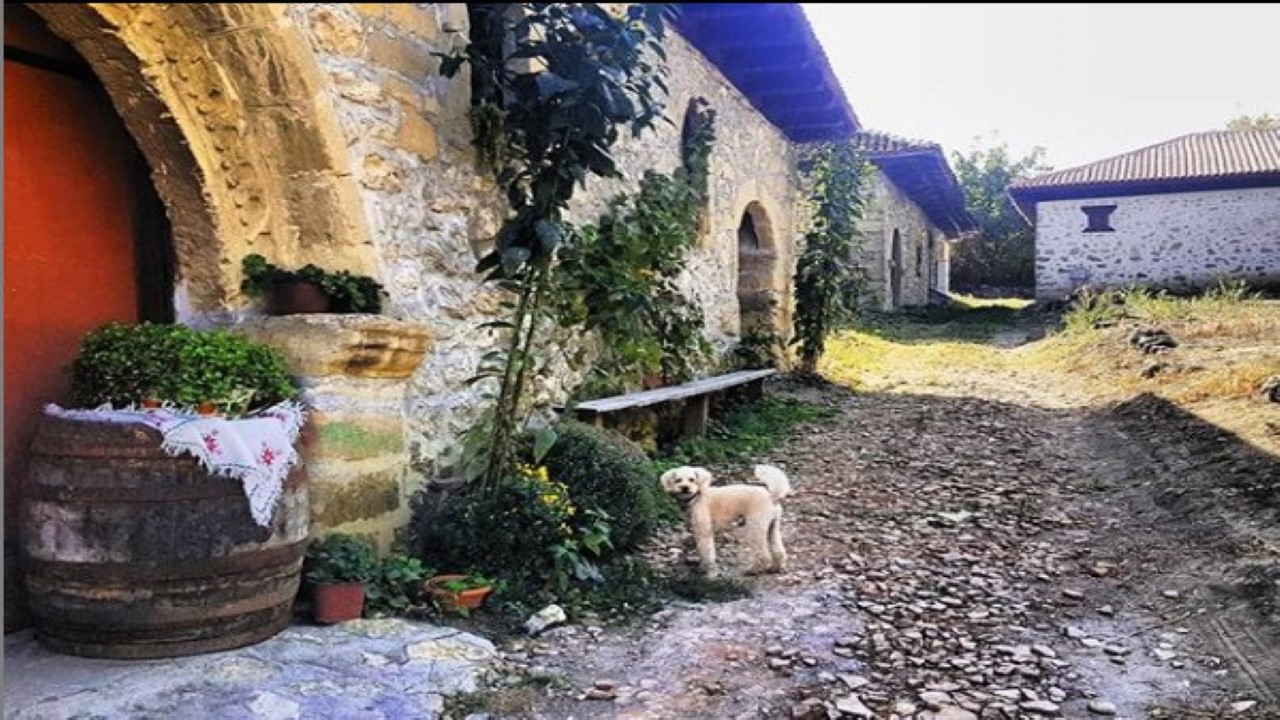 Slide image 26
