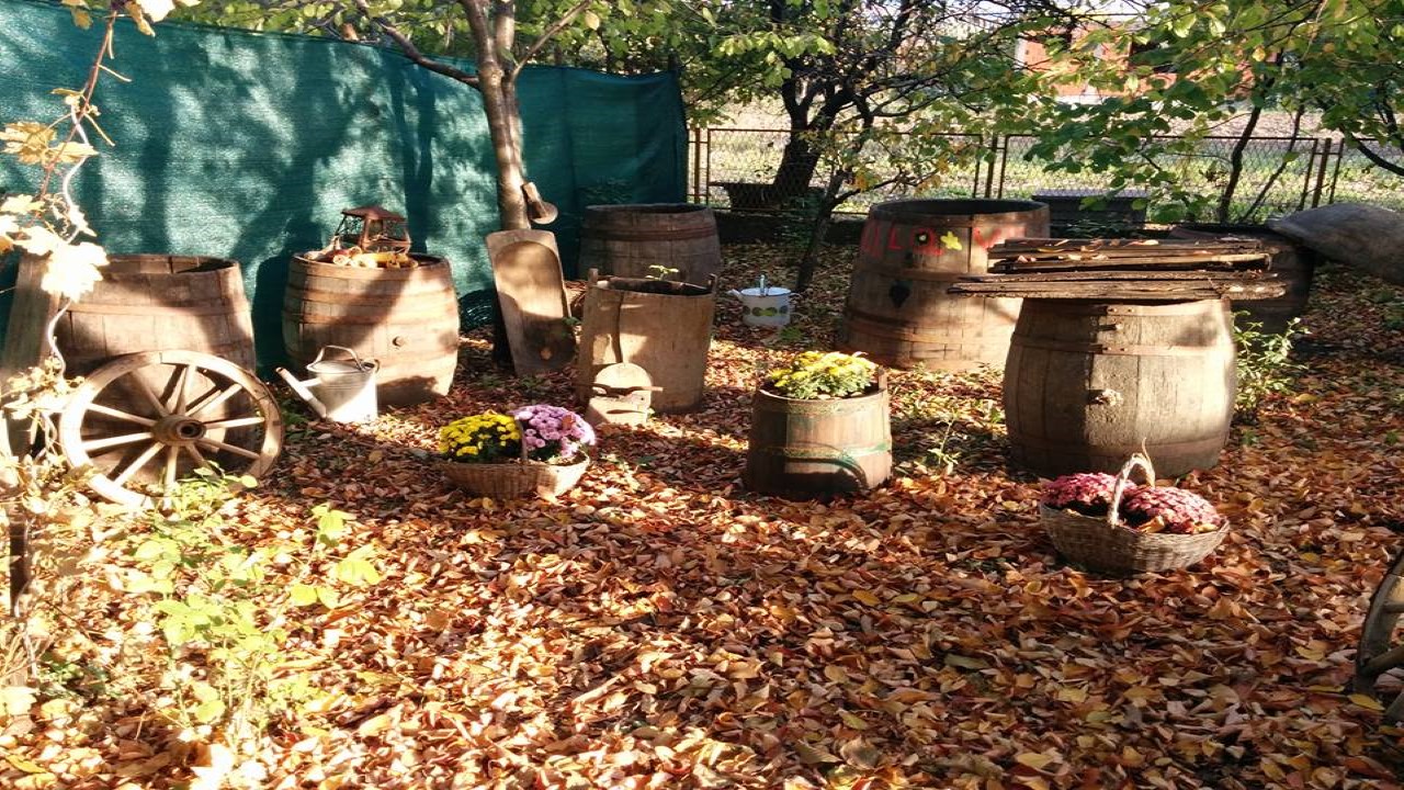 Slide image 5